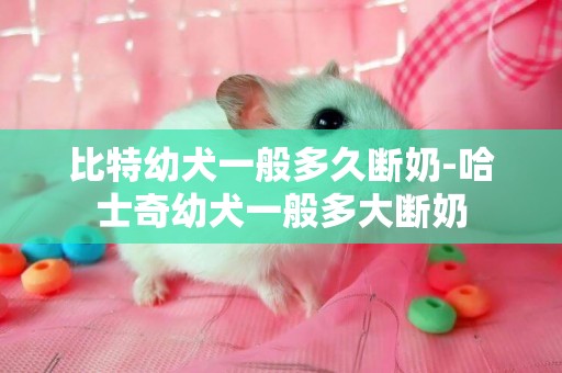 比特幼犬一般多久斷奶-哈士奇幼犬一般多大斷奶