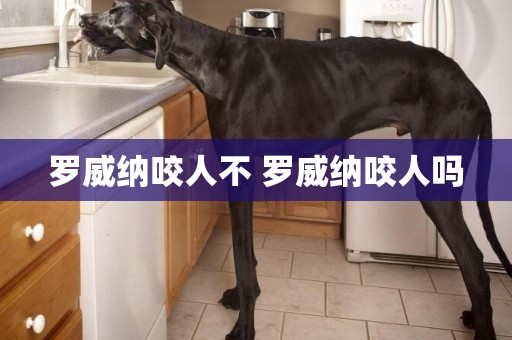 羅威納咬人不 羅威納咬人嗎