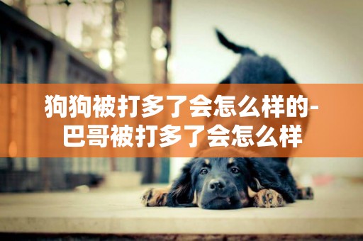 狗狗被打多了會怎么樣的-巴哥被打多了會怎么樣