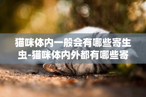 貓咪體內一般會有哪些寄生蟲-貓咪體內外都有哪些寄生蟲