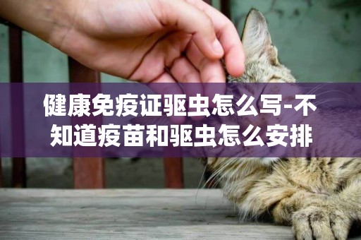 健康免疫證驅蟲怎么寫-不知道疫苗和驅蟲怎么安排