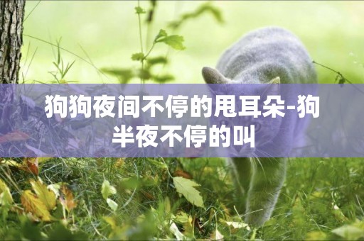 狗狗夜間不停的甩耳朵-狗半夜不停的叫