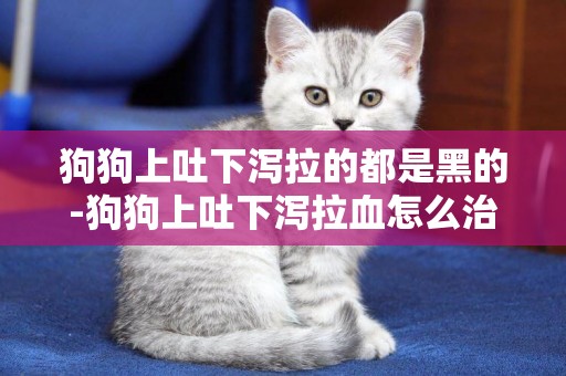 狗狗上吐下瀉拉的都是黑的-狗狗上吐下瀉拉血怎么治療