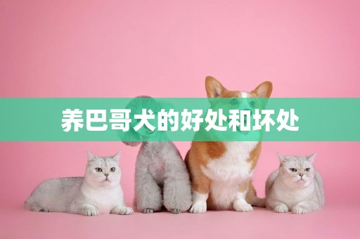 養巴哥犬的好處和壞處