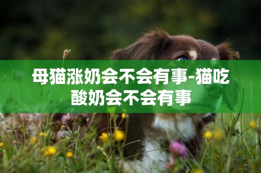 母貓漲奶會不會有事-貓吃酸奶會不會有事