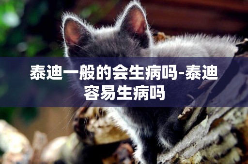 泰迪一般的會生病嗎-泰迪容易生病嗎