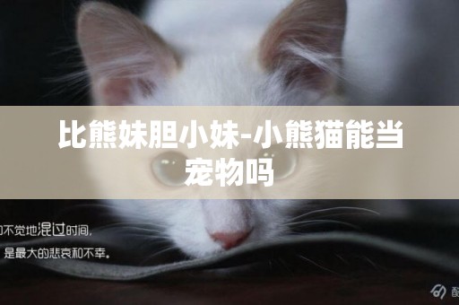 比熊妹膽小妹-小熊貓能當寵物嗎