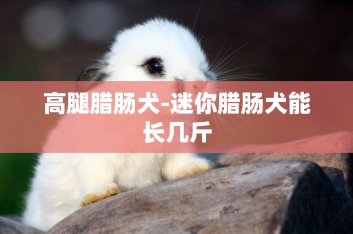高腿臘腸犬-迷你臘腸犬能長幾斤