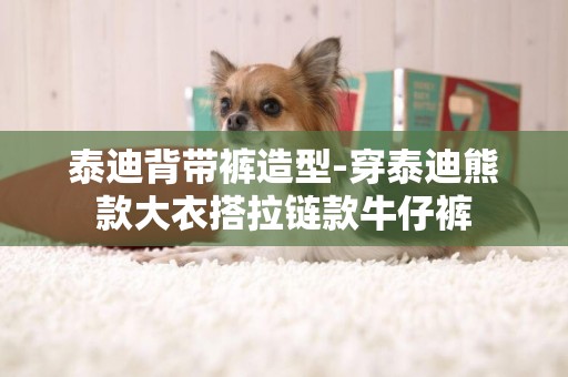 泰迪背帶褲造型-穿泰迪熊款大衣搭拉鏈款牛仔褲