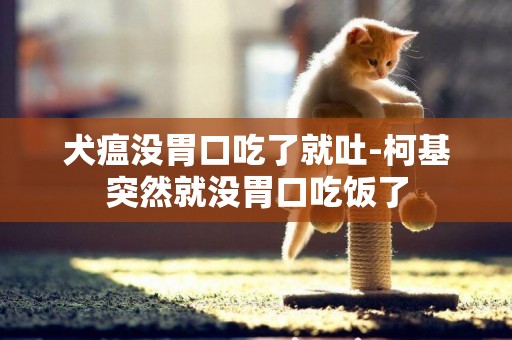 犬瘟沒胃口吃了就吐-柯基突然就沒胃口吃飯了