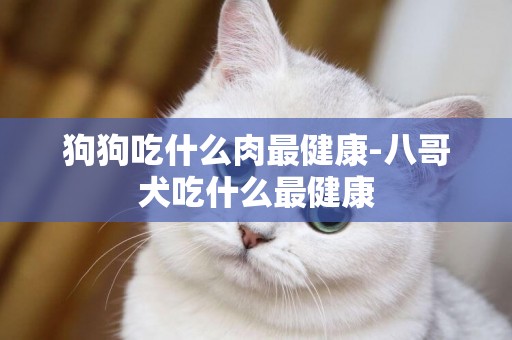 狗狗吃什么肉最健康-八哥犬吃什么最健康
