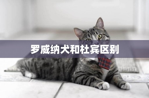 羅威納犬和杜賓區別