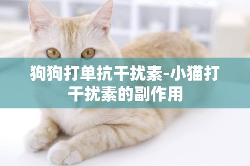 狗狗打單抗干擾素-小貓打干擾素的副作用