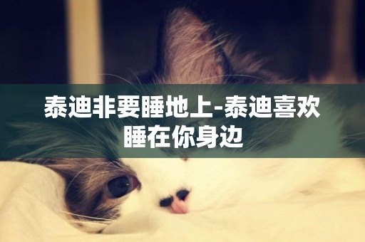 泰迪非要睡地上-泰迪喜歡睡在你身邊