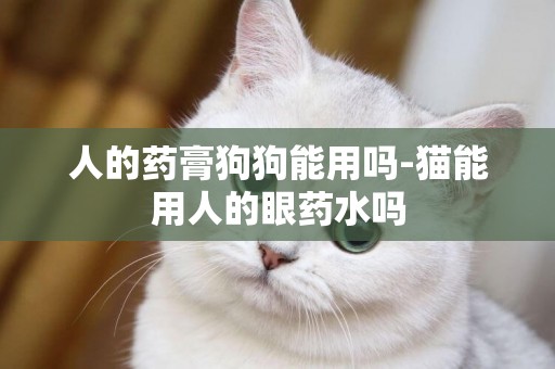人的藥膏狗狗能用嗎-貓能用人的眼藥水嗎