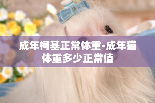 成年柯基正常體重-成年貓體重多少正常值
