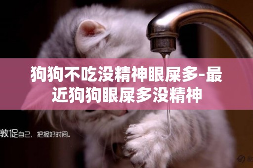 狗狗不吃沒精神眼屎多-最近狗狗眼屎多沒精神