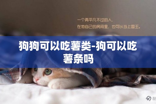 狗狗可以吃薯類-狗可以吃薯條嗎