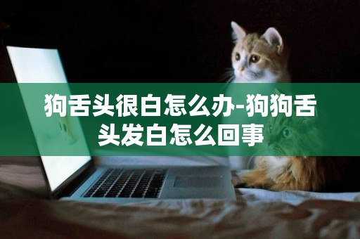 狗舌頭很白怎么辦-狗狗舌頭發白怎么回事