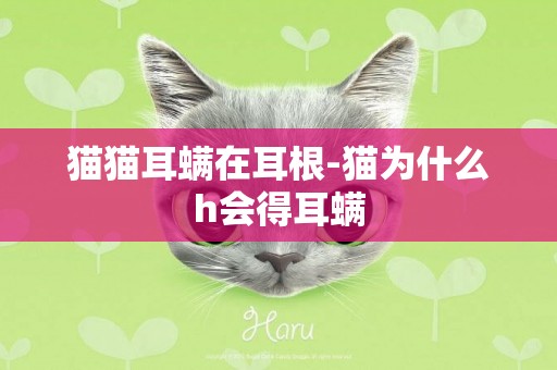 貓貓耳螨在耳根-貓為什么h會得耳螨