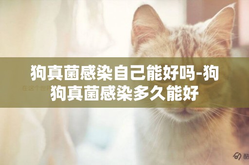 狗真菌感染自己能好嗎-狗狗真菌感染多久能好