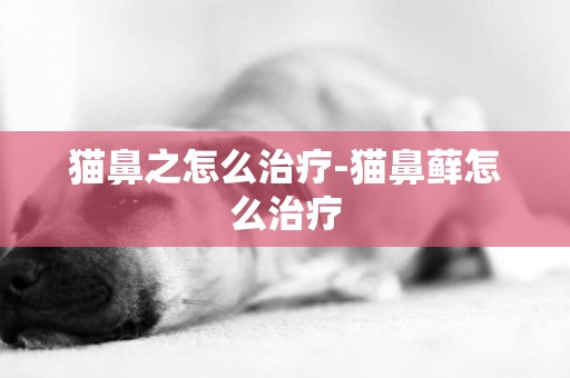 貓鼻之怎么治療-貓鼻蘚怎么治療