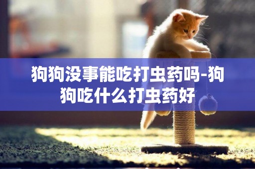 狗狗沒事能吃打蟲藥嗎-狗狗吃什么打蟲藥好