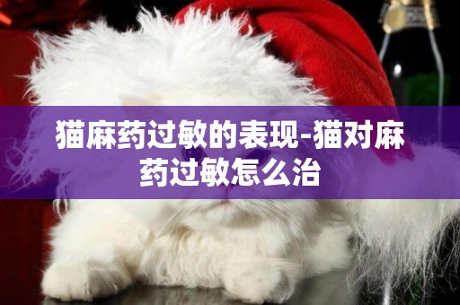 貓麻藥過敏的表現-貓對麻藥過敏怎么治