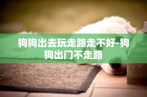 狗狗出去玩走路走不好-狗狗出門不走路