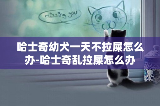 哈士奇幼犬一天不拉屎怎么辦-哈士奇亂拉屎怎么辦