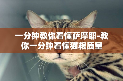 一分鐘教你看懂薩摩耶-教你一分鐘看懂貓糧質量