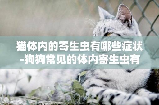 貓體內的寄生蟲有哪些癥狀-狗狗常見的體內寄生蟲有哪些