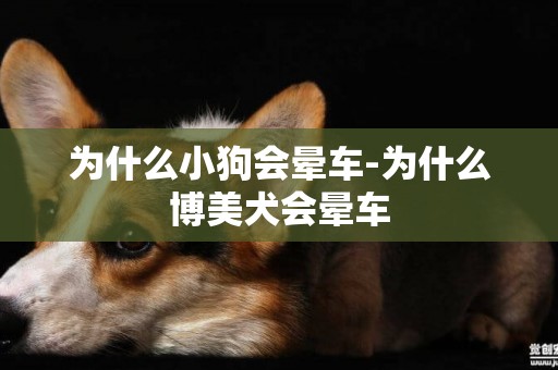 為什么小狗會暈車-為什么博美犬會暈車