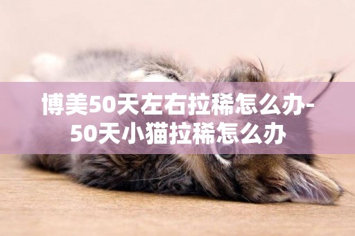 博美50天左右拉稀怎么辦-50天小貓拉稀怎么辦