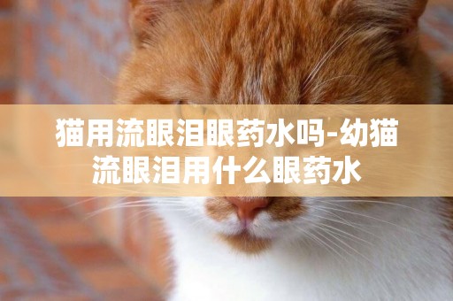 貓用流眼淚眼藥水嗎-幼貓流眼淚用什么眼藥水