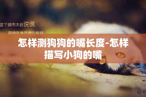 怎樣測狗狗的嘴長度-怎樣描寫小狗的嘴