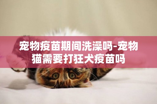 寵物疫苗期間洗澡嗎-寵物貓需要打狂犬疫苗嗎