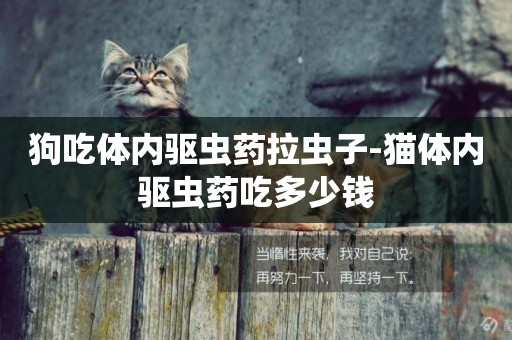狗吃體內驅蟲藥拉蟲子-貓體內驅蟲藥吃多少錢