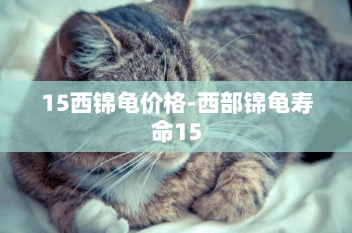 15西錦龜價格-西部錦龜壽命15