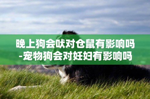 晚上狗會吠對倉鼠有影響嗎-寵物狗會對妊婦有影響嗎