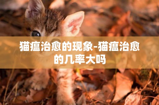 貓瘟治愈的現象-貓瘟治愈的幾率大嗎