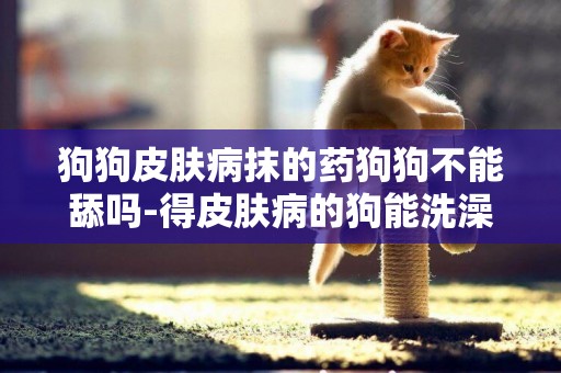 狗狗皮膚病抹的藥狗狗不能舔嗎-得皮膚病的狗能洗澡嗎