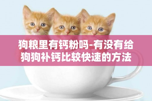 狗糧里有鈣粉嗎-有沒有給狗狗補鈣比較快速的方法