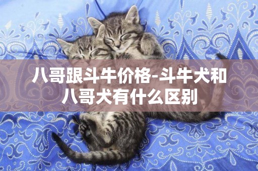 八哥跟斗牛價格-斗牛犬和八哥犬有什么區別
