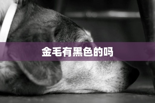 金毛有黑色的嗎
