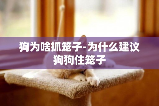 狗為啥抓籠子-為什么建議狗狗住籠子