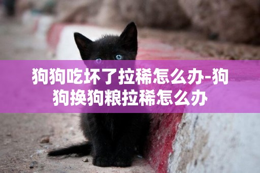 狗狗吃壞了拉稀怎么辦-狗狗換狗糧拉稀怎么辦