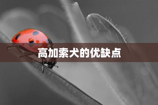 高加索犬的優缺點