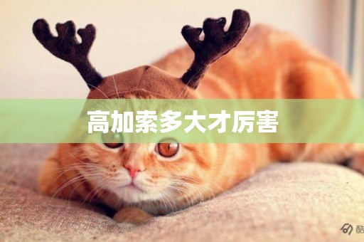 高加索多大才厲害