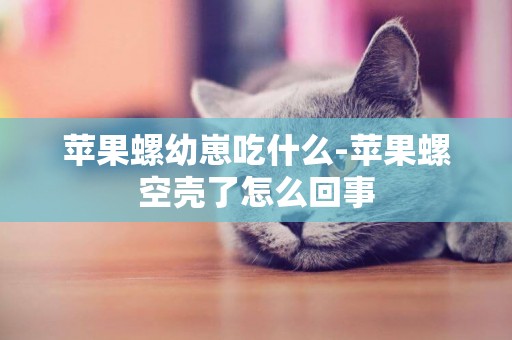 蘋果螺幼崽吃什么-蘋果螺空殼了怎么回事